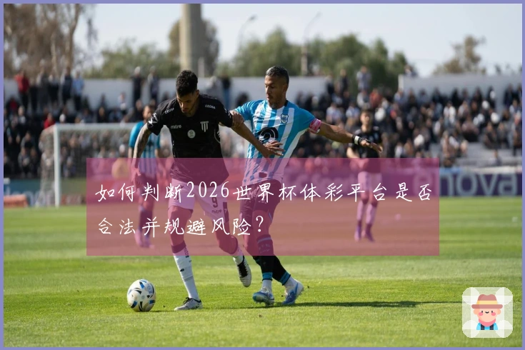 如何判断2026世界杯体彩平台是否合法并规避风险？