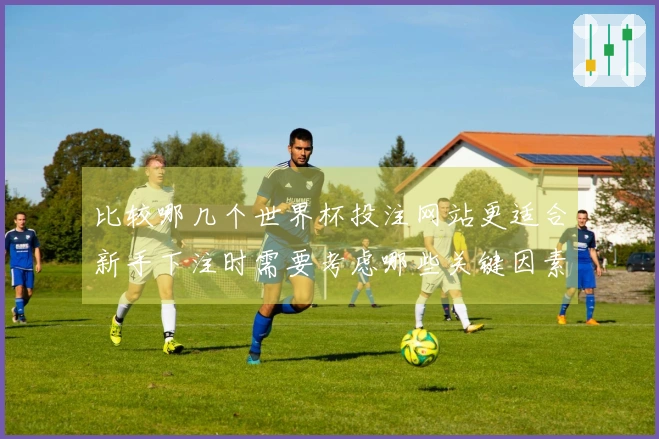 比较哪几个世界杯投注网站更适合新手下注时需要考虑哪些关键因素