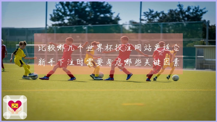 比较哪几个世界杯投注网站更适合新手下注时需要考虑哪些关键因素